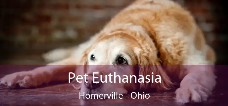 Pet Euthanasia Homerville - Ohio