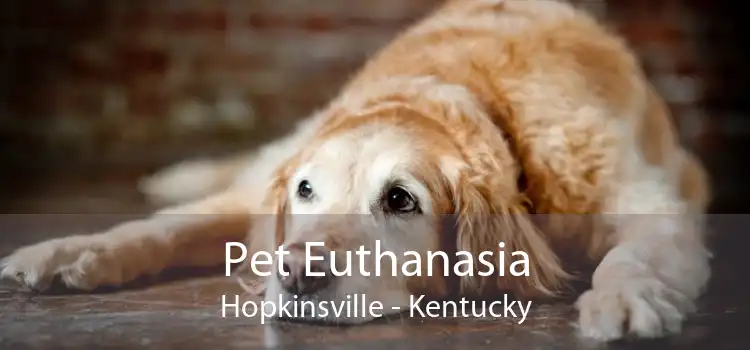 Pet Euthanasia Hopkinsville - Kentucky