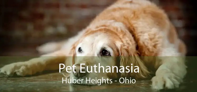 Pet Euthanasia Huber Heights - Ohio