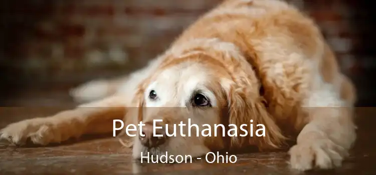 Pet Euthanasia Hudson - Ohio