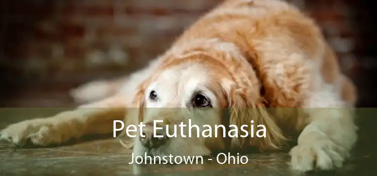 Pet Euthanasia Johnstown - Ohio