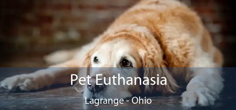 Pet Euthanasia Lagrange - Ohio