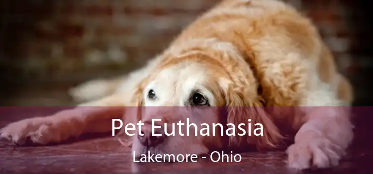 Pet Euthanasia Lakemore - Ohio
