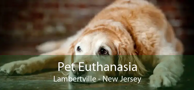 Pet Euthanasia Lambertville - New Jersey