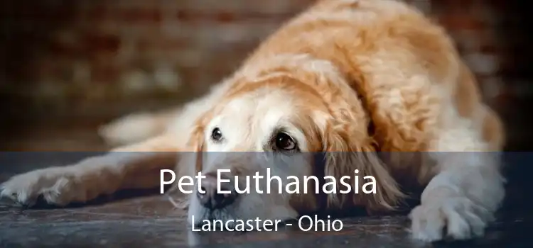 Pet Euthanasia Lancaster - Ohio