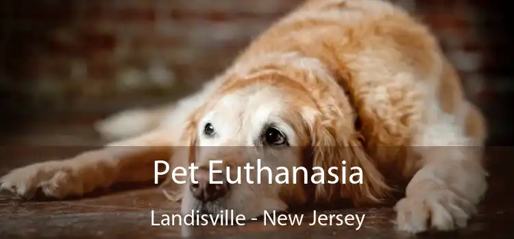 Pet Euthanasia Landisville - New Jersey