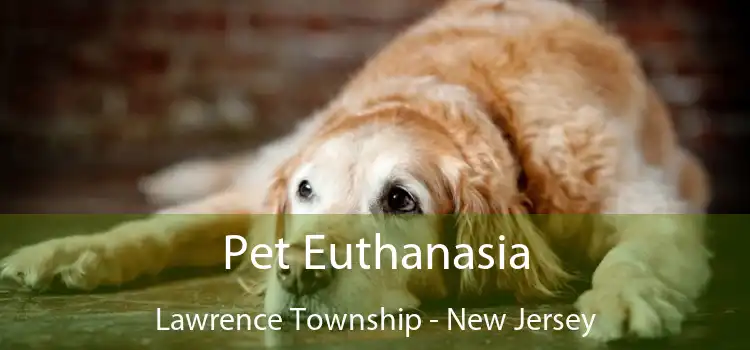 Pet Euthanasia Lawrence Township - New Jersey