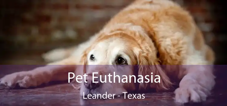 Pet Euthanasia Leander - Texas