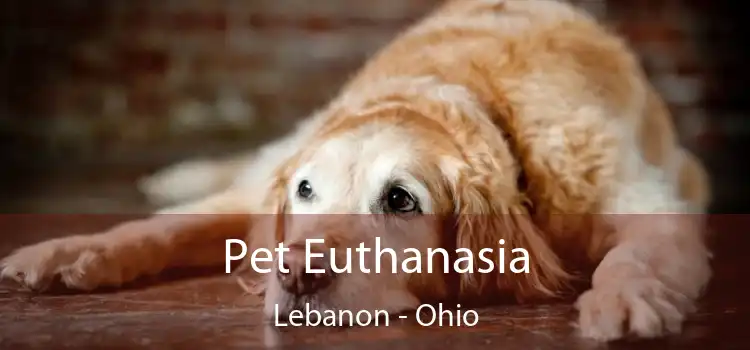 Pet Euthanasia Lebanon - Ohio