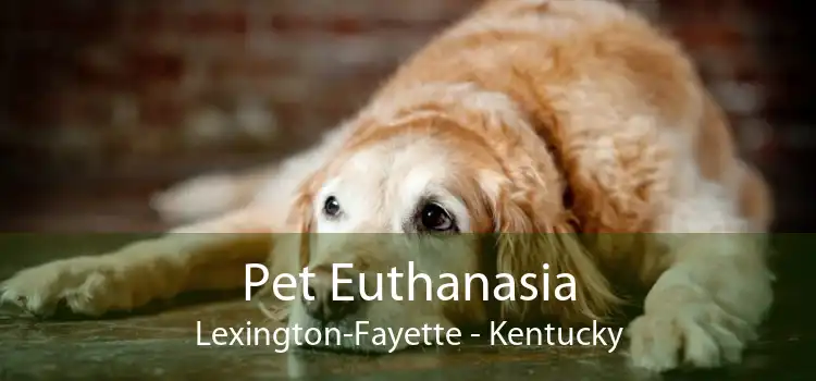 Pet Euthanasia Lexington-Fayette - Kentucky