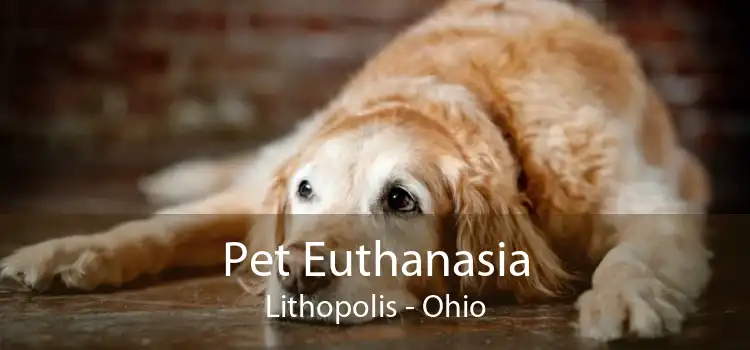 Pet Euthanasia Lithopolis - Ohio