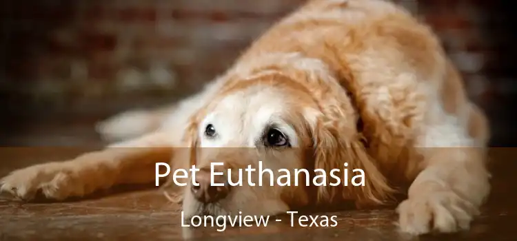 Pet Euthanasia Longview - Texas