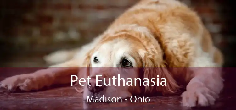 Pet Euthanasia Madison - Ohio