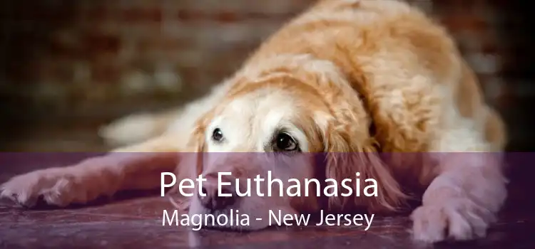 Pet Euthanasia Magnolia - New Jersey