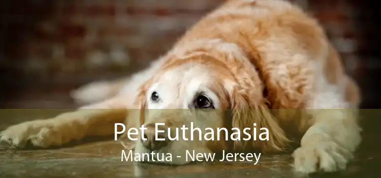 Pet Euthanasia Mantua - New Jersey
