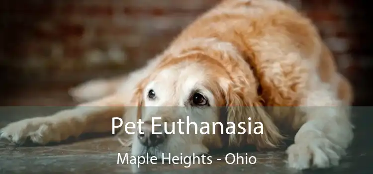 Pet Euthanasia Maple Heights - Ohio