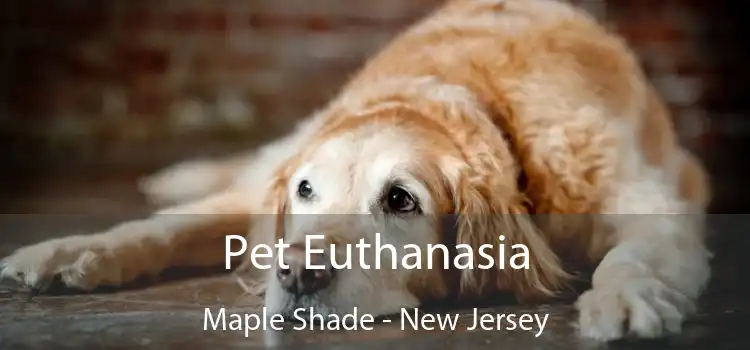 Pet Euthanasia Maple Shade - New Jersey