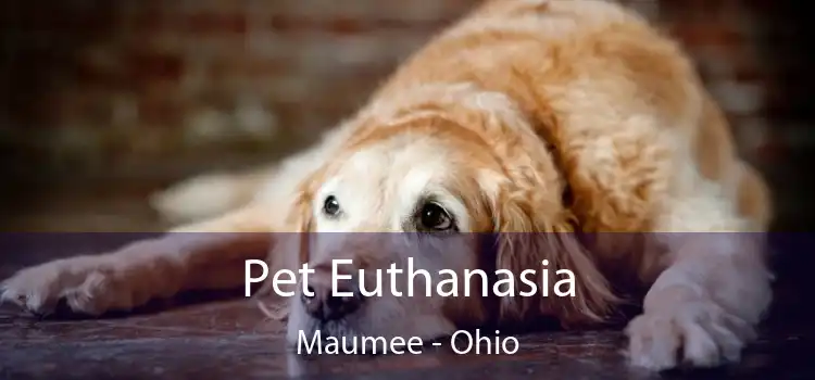 Pet Euthanasia Maumee - Ohio