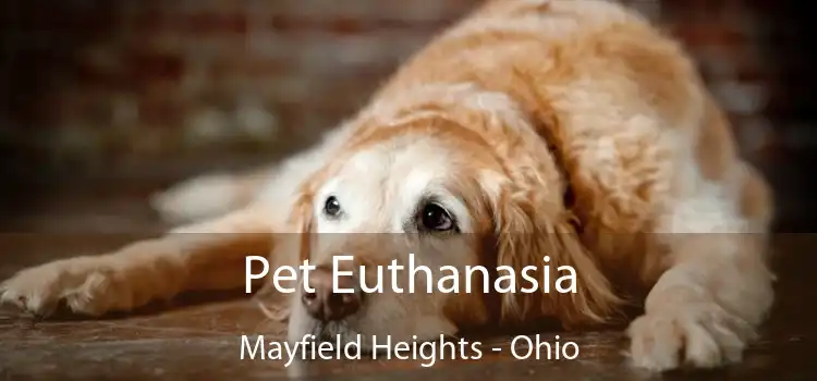 Pet Euthanasia Mayfield Heights - Ohio