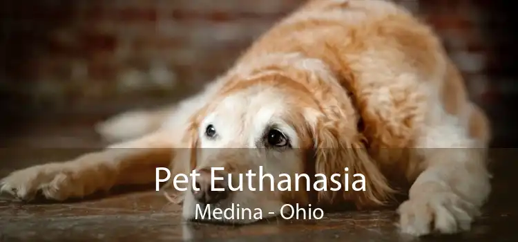 Pet Euthanasia Medina - Ohio