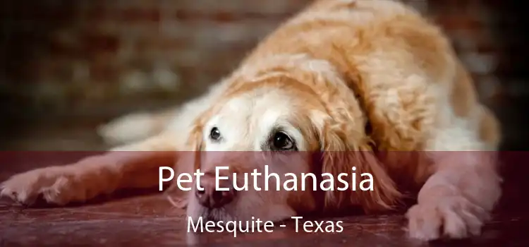 Pet Euthanasia Mesquite - Texas
