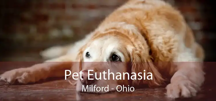 Pet Euthanasia Milford - Ohio