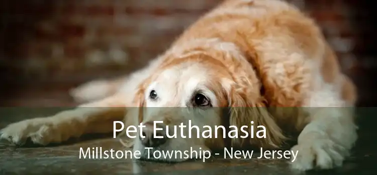 Pet Euthanasia Millstone Township - New Jersey