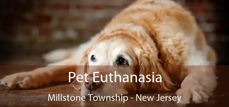 Pet Euthanasia Millstone Township - New Jersey