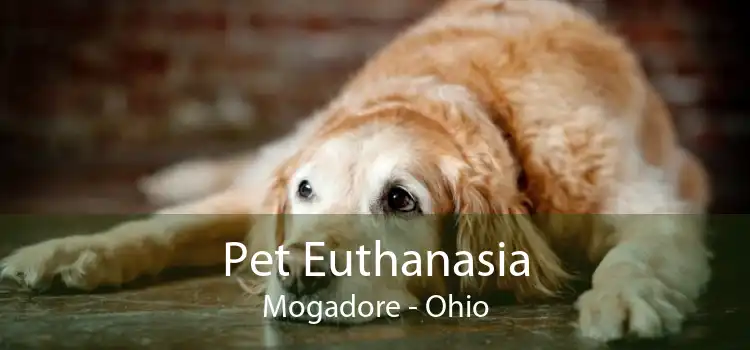 Pet Euthanasia Mogadore - Ohio