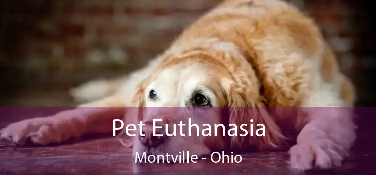 Pet Euthanasia Montville - Ohio