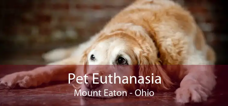 Pet Euthanasia Mount Eaton - Ohio
