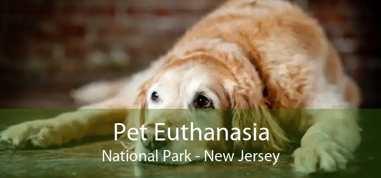 Pet Euthanasia National Park - New Jersey