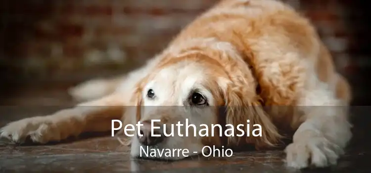 Pet Euthanasia Navarre - Ohio