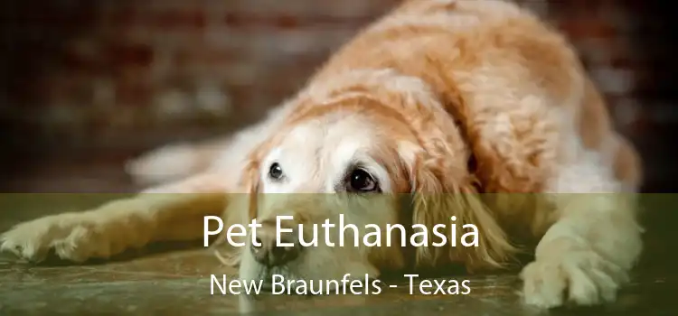 Pet Euthanasia New Braunfels - Texas