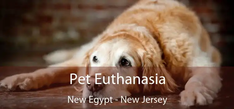 Pet Euthanasia New Egypt - New Jersey