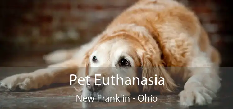 Pet Euthanasia New Franklin - Ohio