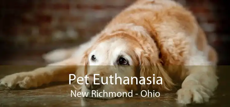 Pet Euthanasia New Richmond - Ohio