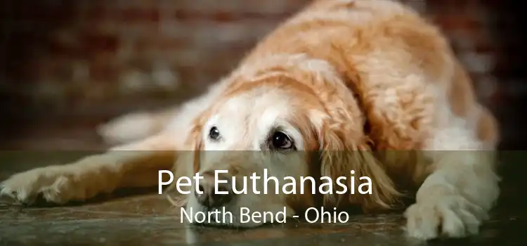 Pet Euthanasia North Bend - Ohio