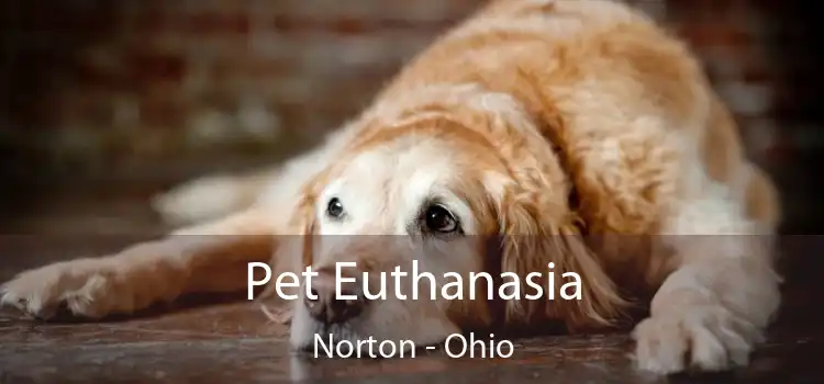 Pet Euthanasia Norton - Ohio
