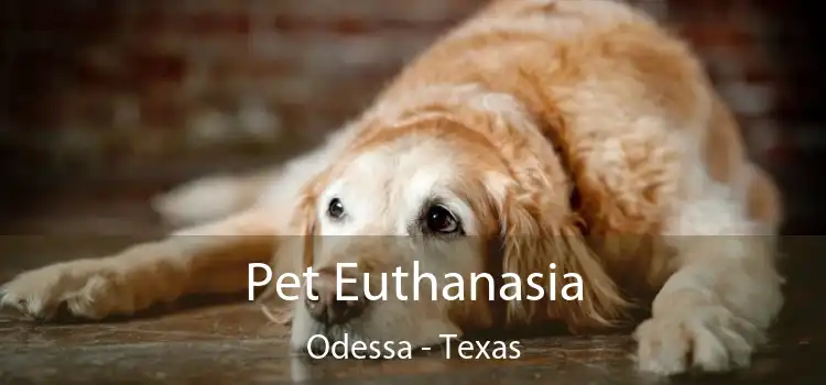 Pet Euthanasia Odessa - Texas