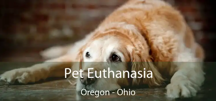 Pet Euthanasia Oregon - Ohio