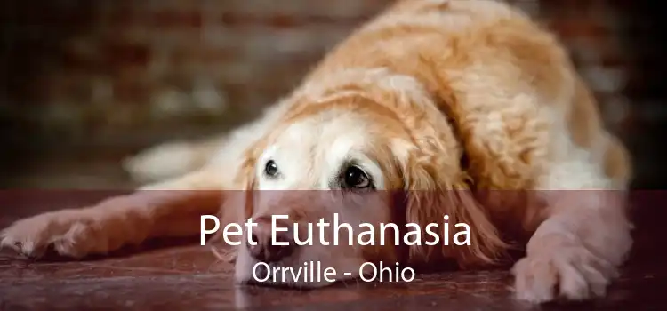 Pet Euthanasia Orrville - Ohio