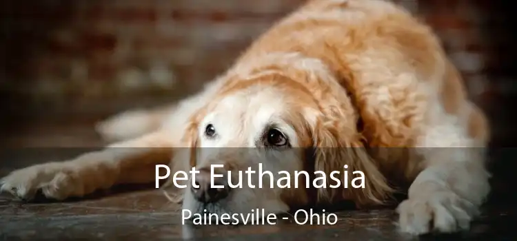 Pet Euthanasia Painesville - Ohio