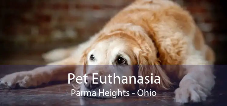 Pet Euthanasia Parma Heights - Ohio