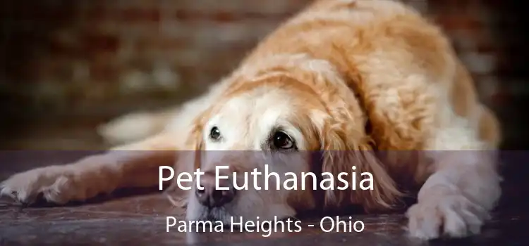 Pet Euthanasia Parma Heights - Ohio