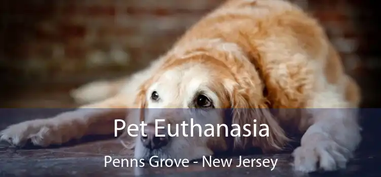 Pet Euthanasia Penns Grove - New Jersey