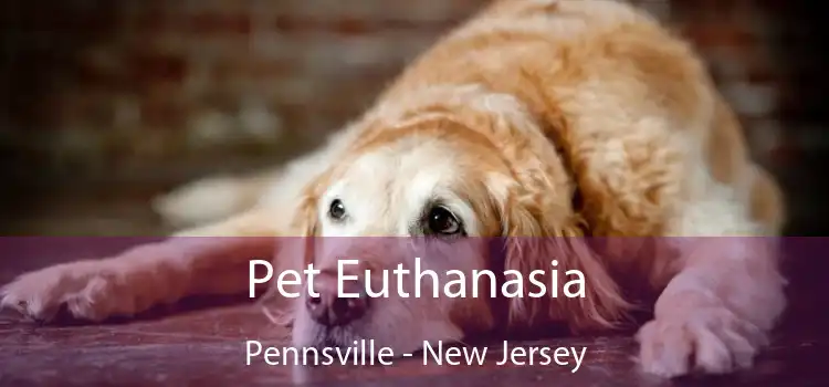 Pet Euthanasia Pennsville - New Jersey