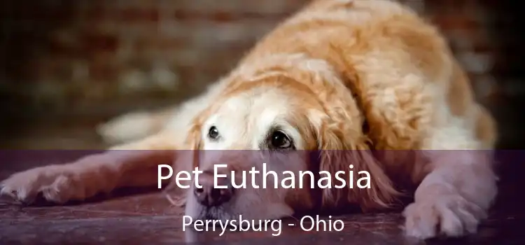 Pet Euthanasia Perrysburg - Ohio