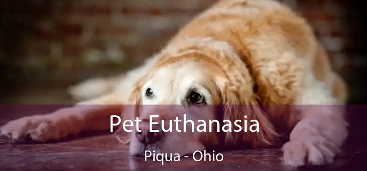 Pet Euthanasia Piqua - Ohio