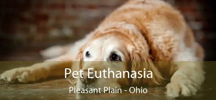 Pet Euthanasia Pleasant Plain - Ohio
